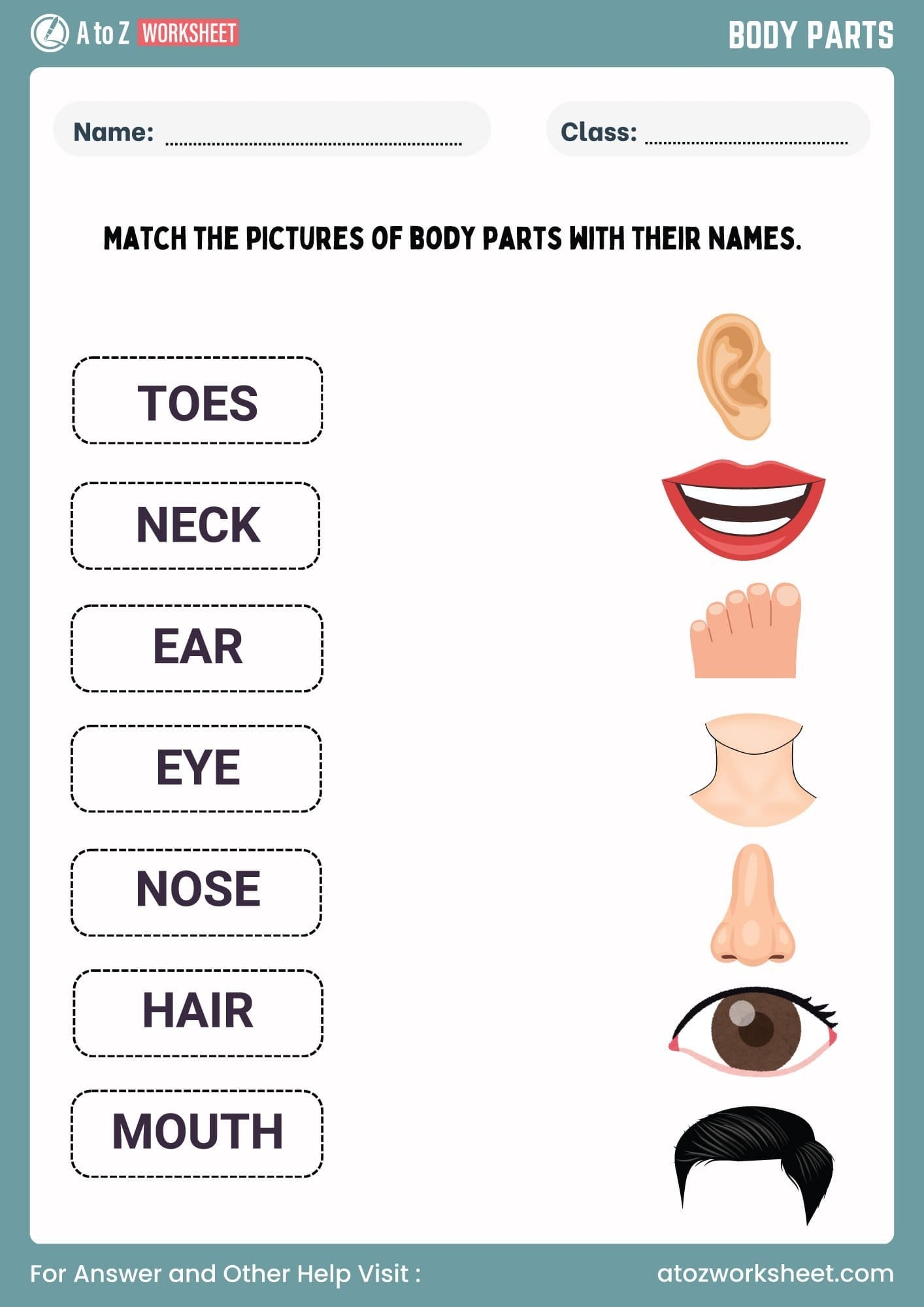 11 Free Printable Body Parts Worksheet For Kindergarten And Class 1 Kids A To Z Worksheet 11 Free Printable Body Parts Worksheet For Kindergarten And Class 1 Kids A To Z Worksheet