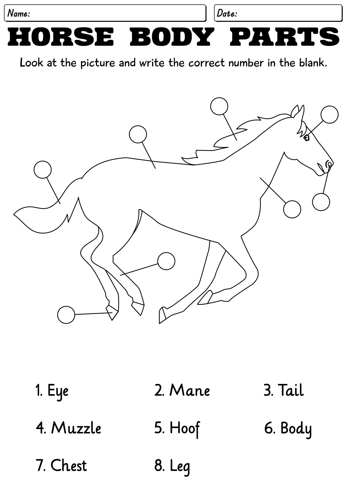 13 Points Of The Horse Worksheet Free PDF At Worksheeto