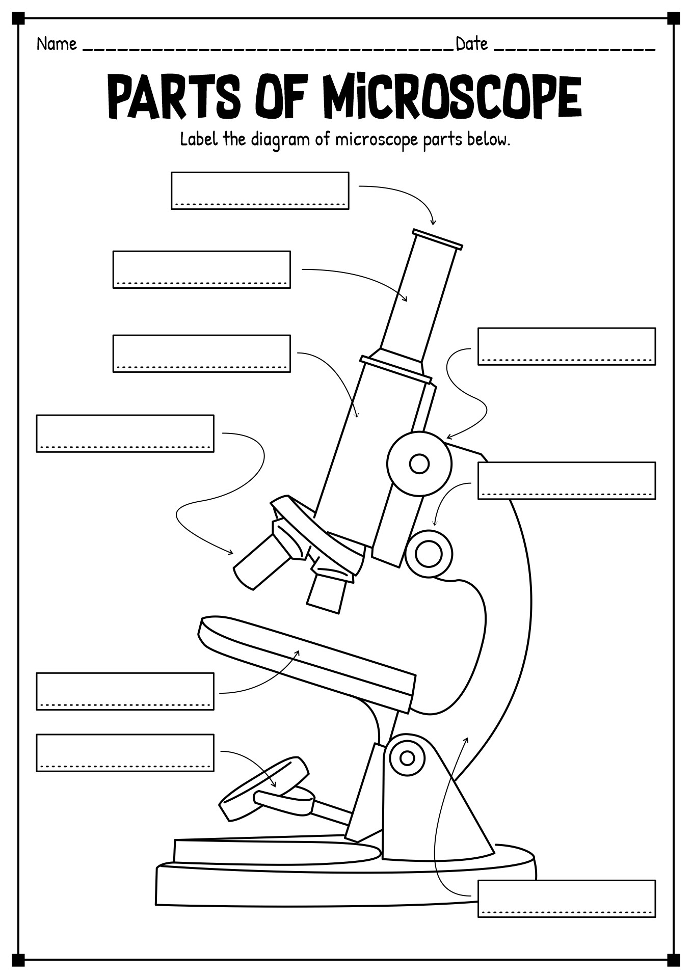 15 Printable Microscope Worksheet Free PDF At Worksheeto 15 Printable Microscope Worksheet Free PDF At Worksheeto