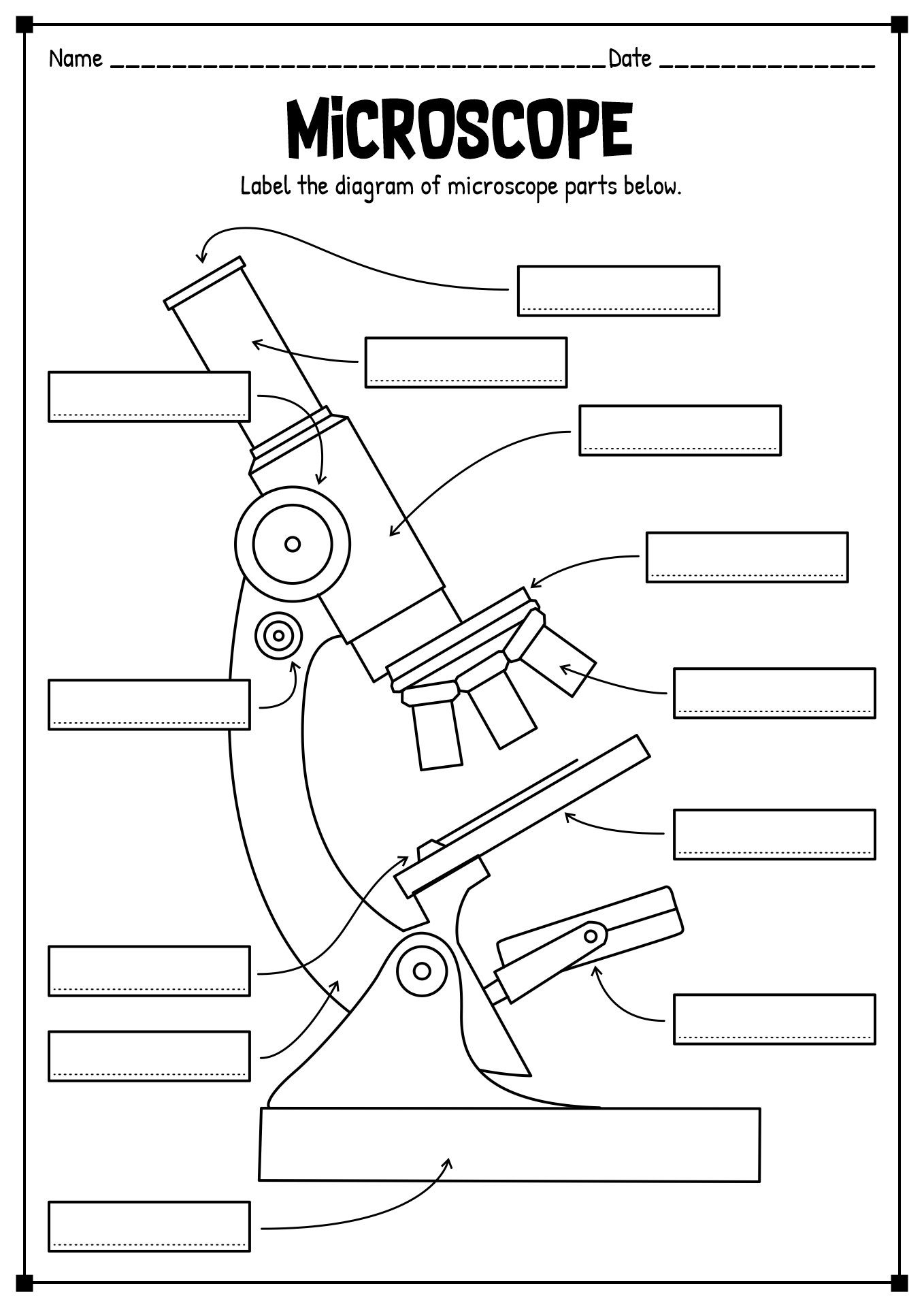 15 Printable Microscope Worksheet