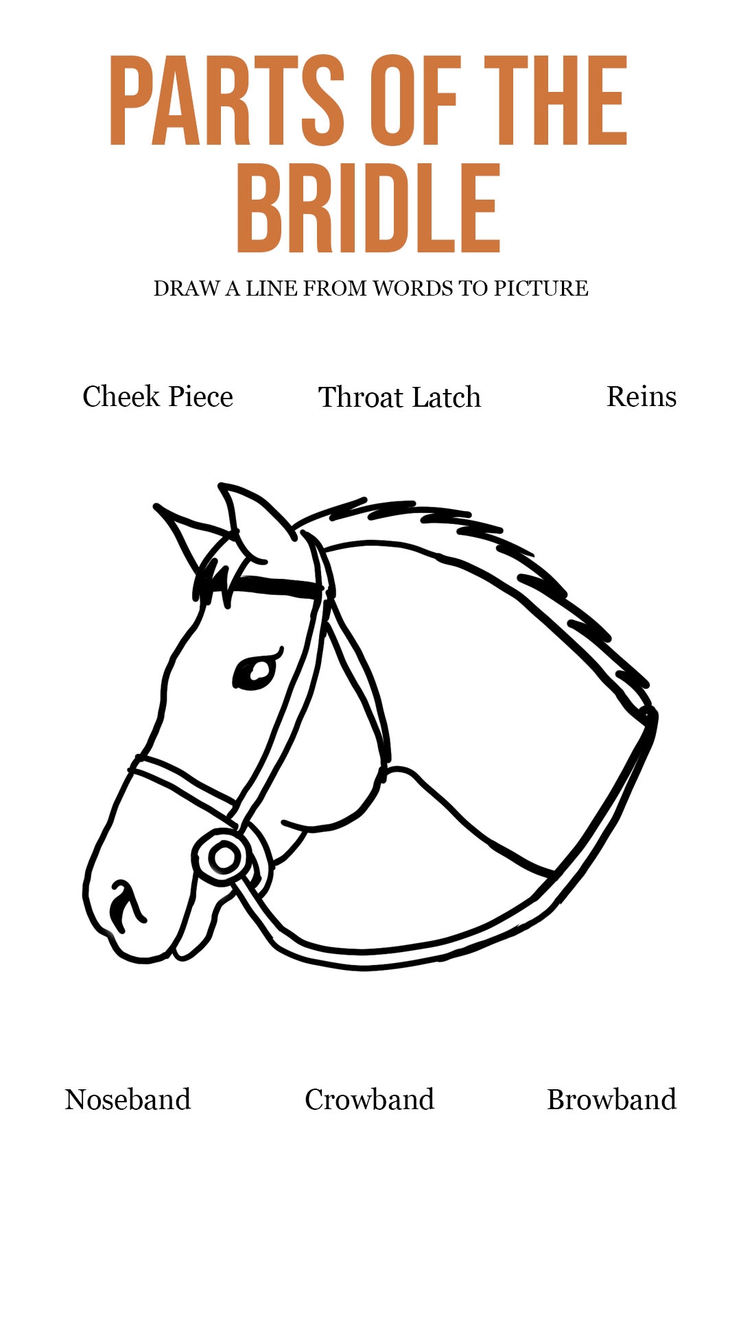 17 Saddle Worksheets Printable Free PDF At Worksheeto