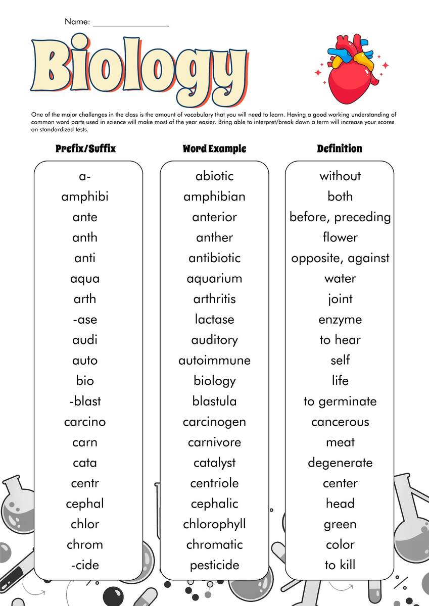 18 Medical Prefixes And Suffixes Worksheets Free PDF At Worksheeto