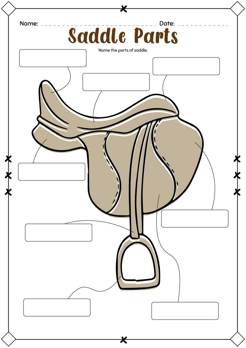 20 Horse Tack Worksheet Printable