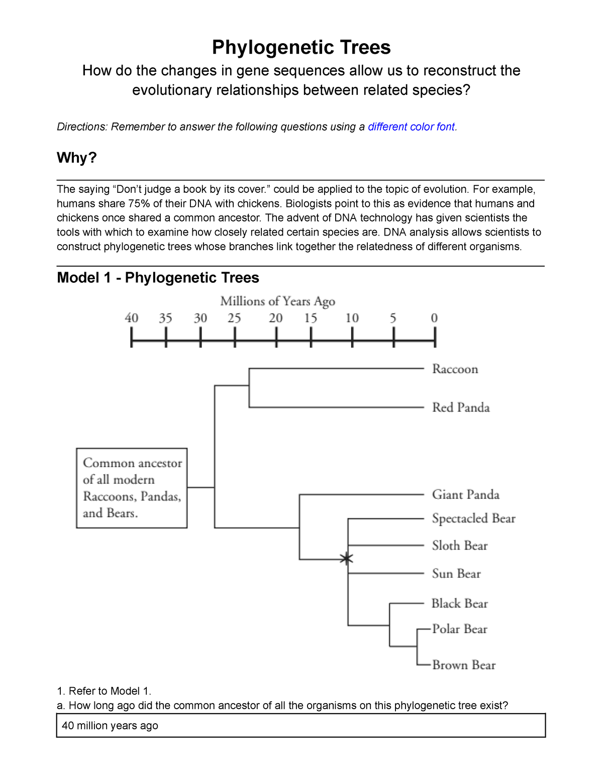 22 Pogil Phylogenetic Trees Phylogenetic Trees How Do The Worksheets Library