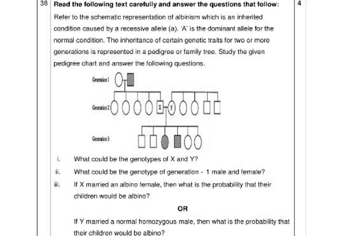 38 Read The Following Text Carefully And Answer The Questions That Follow