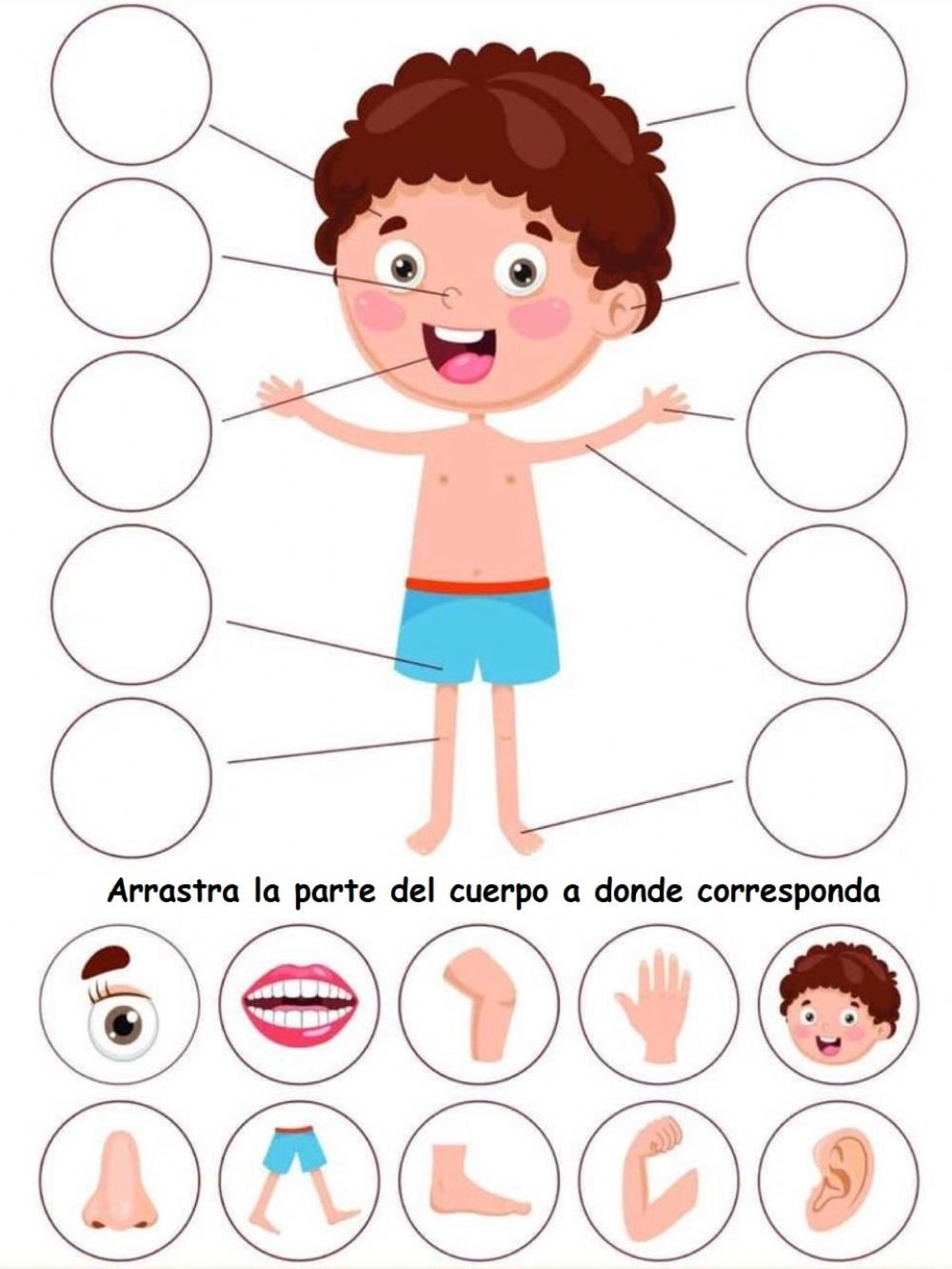 55 Ideas De Gu as Esquema Corporal Cuerpo Humano Para Ni os Actividades Del Cuerpo Humano Partes Del Cuerpo Preescolar
