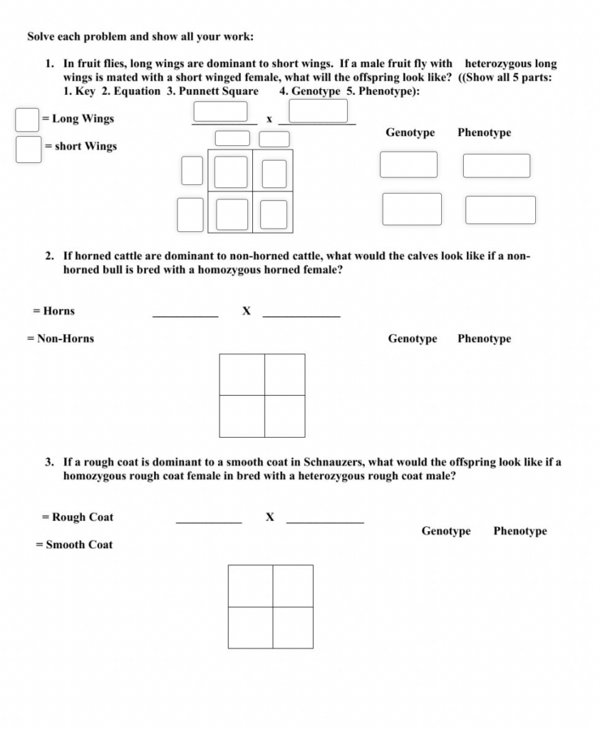 9 Hands On Worksheet Punnett Square Worksheet The Teach Simple Blog