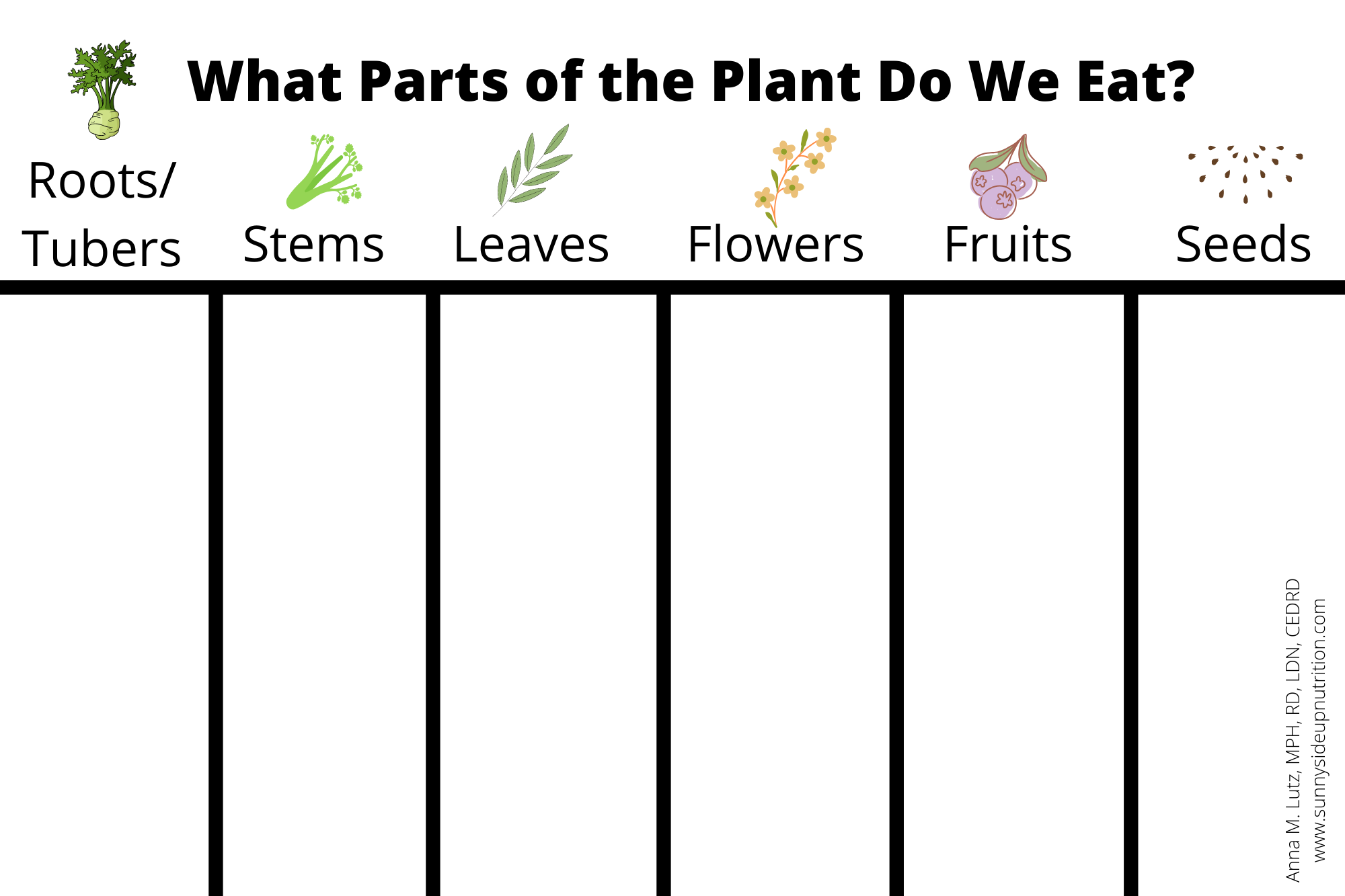 A FREE School Nutrition Lesson Edible Parts Of A Plant