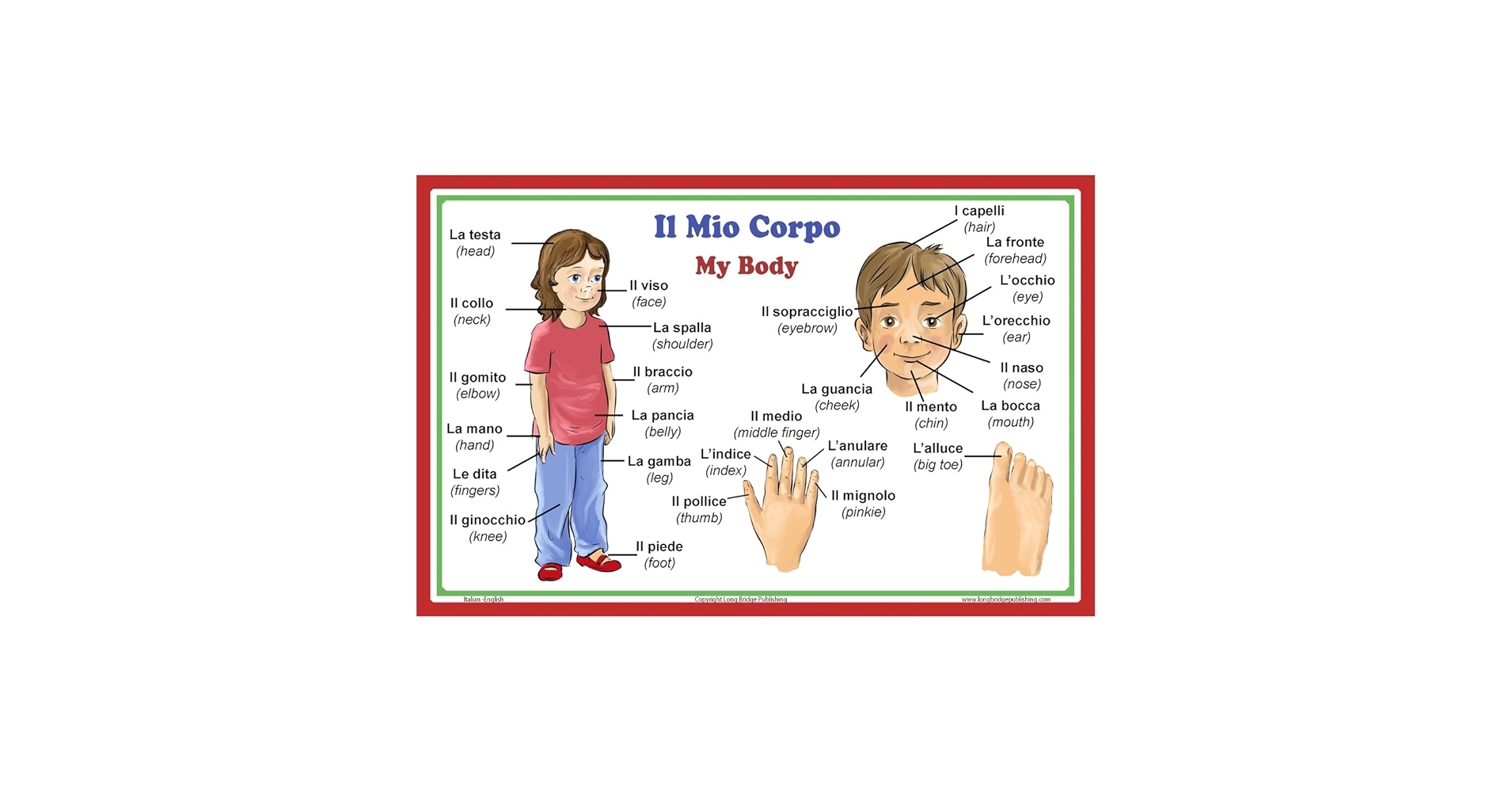 Amazon Long Bridge Publishing Italian Language School Poster Italian Words About Parts Of The Body With English Translation Bilingual Classroom Chart 11x17 Inches Posters Prints