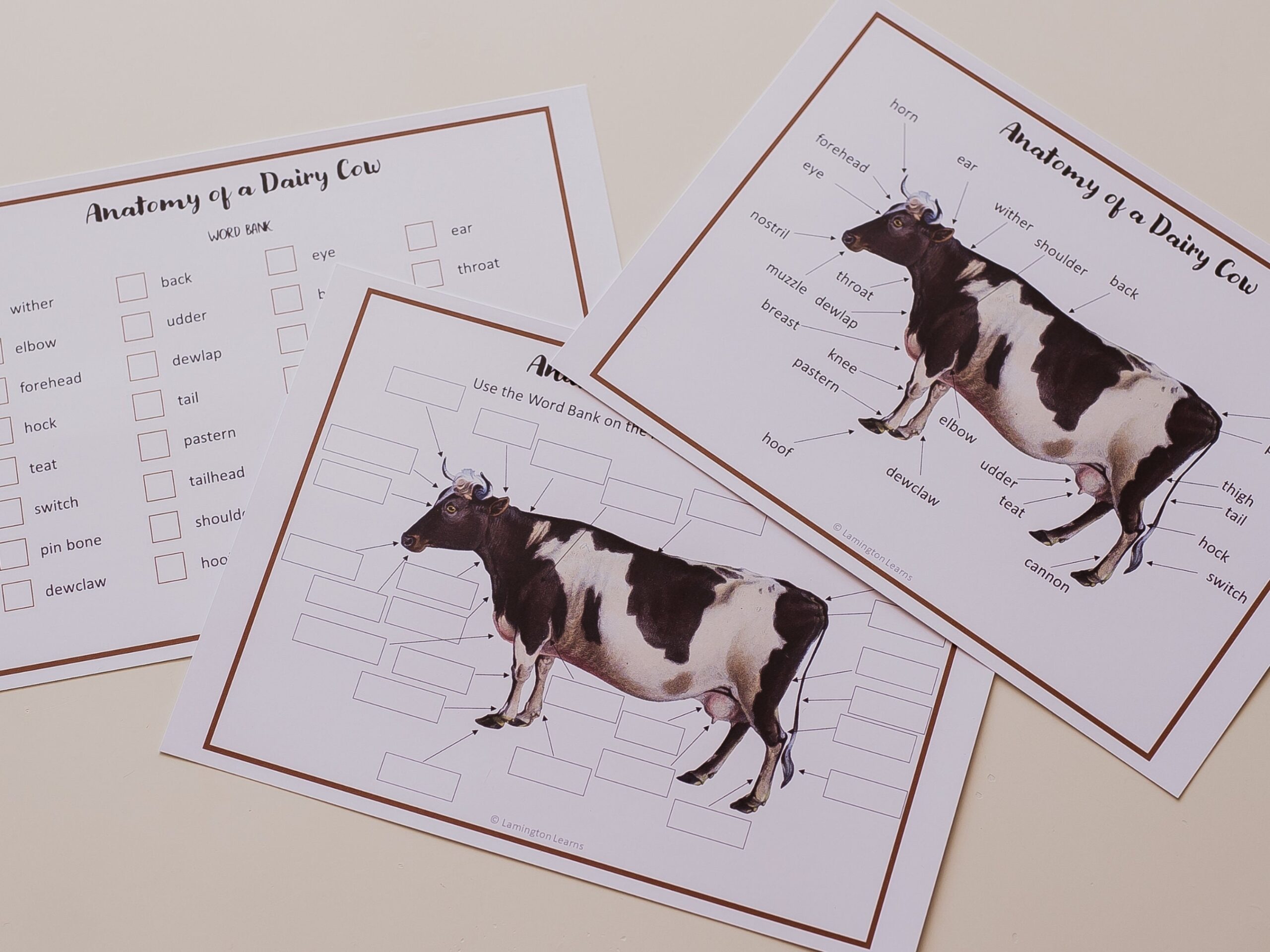 Cows Theme Activities And Printables For Preschool And Kindergarten KIDSPARKZ