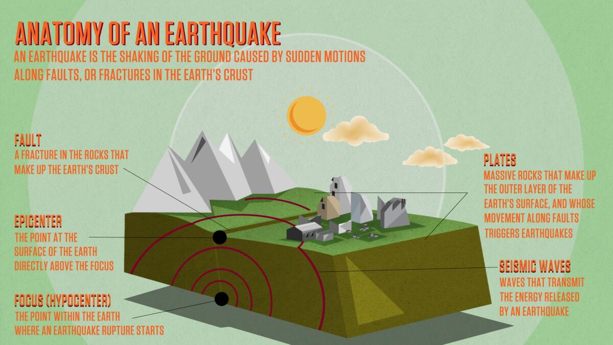 Anatomy Of An Earthquake California Academy Of Sciences