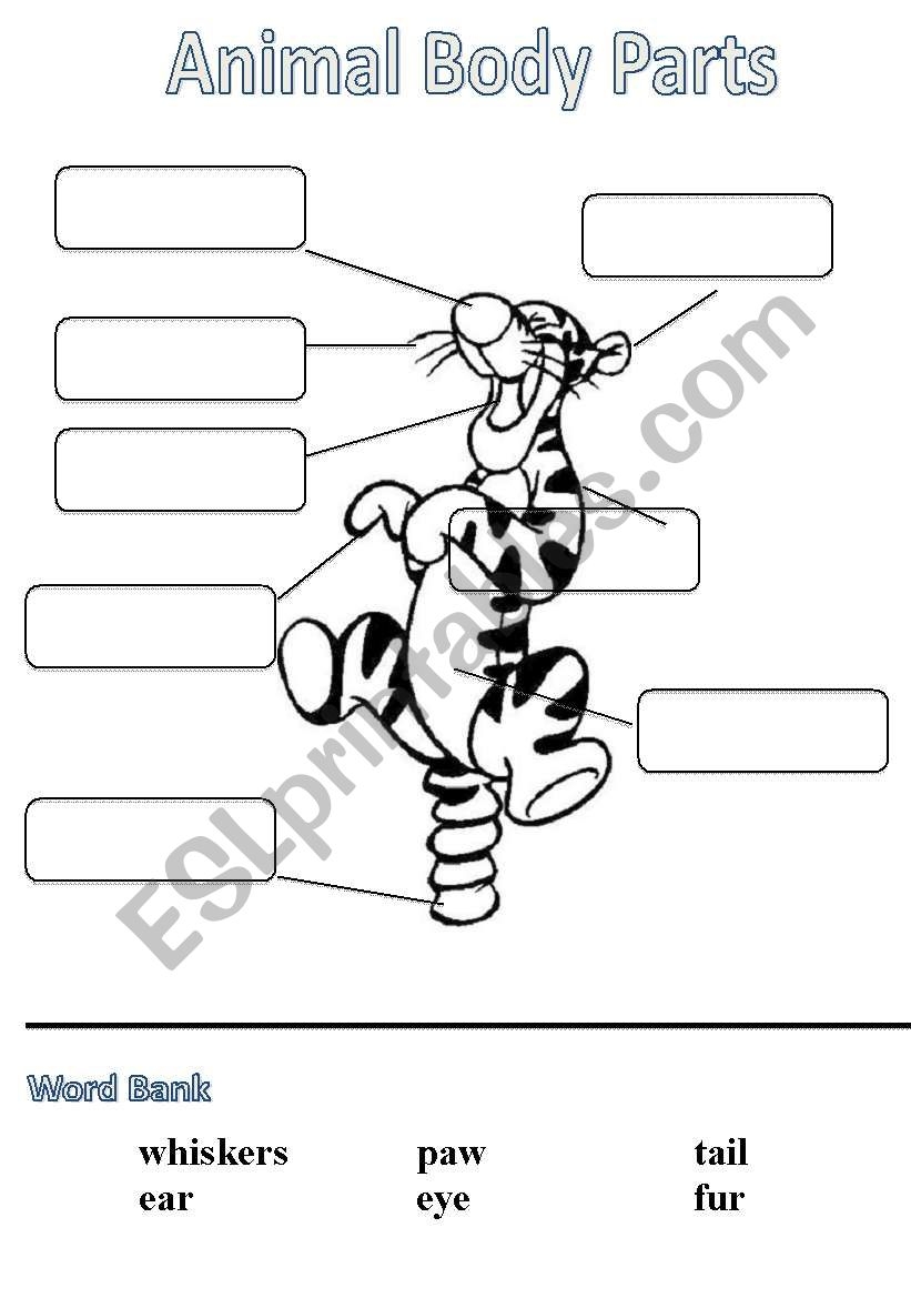 Animal Body Parts Labels ESL Worksheet By Maikeru2008 Animal Worksheets Engaging Activities By Storyboard That