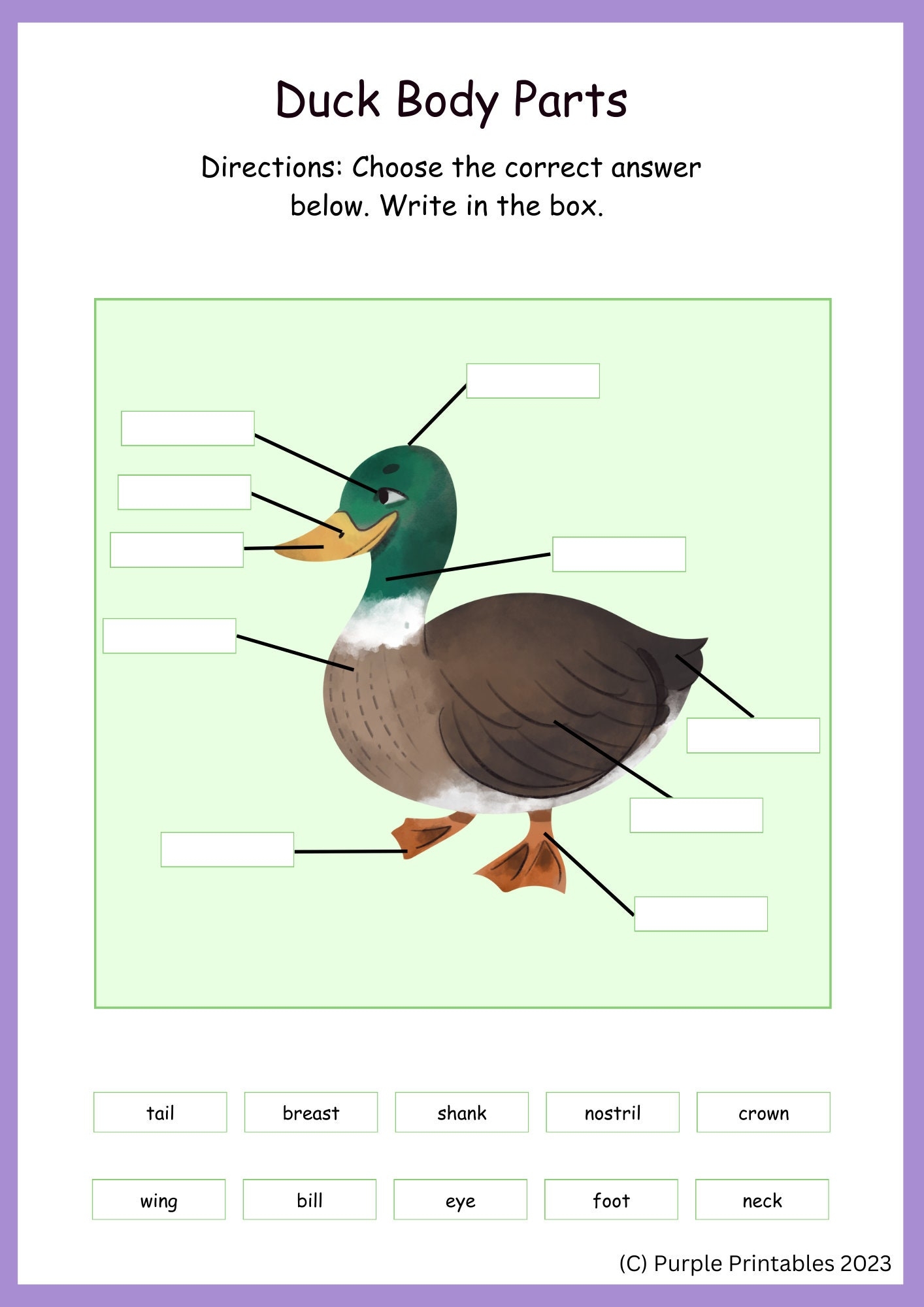 Animals And Me Body Parts Worksheets English Reading Writing Vocabulary Home Education Childrens Activities Etsy Israel