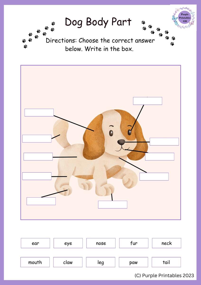Animals And Me Body Parts Worksheets English Reading Writing Vocabulary Home Education Childrens Activities Etsy Israel