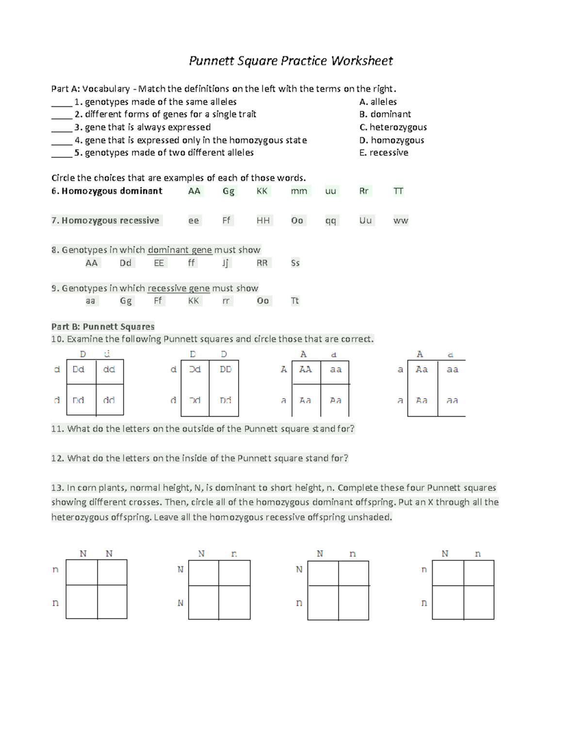 Annotated Punnett Square Practice Worksheet For Genetics Study Studocu