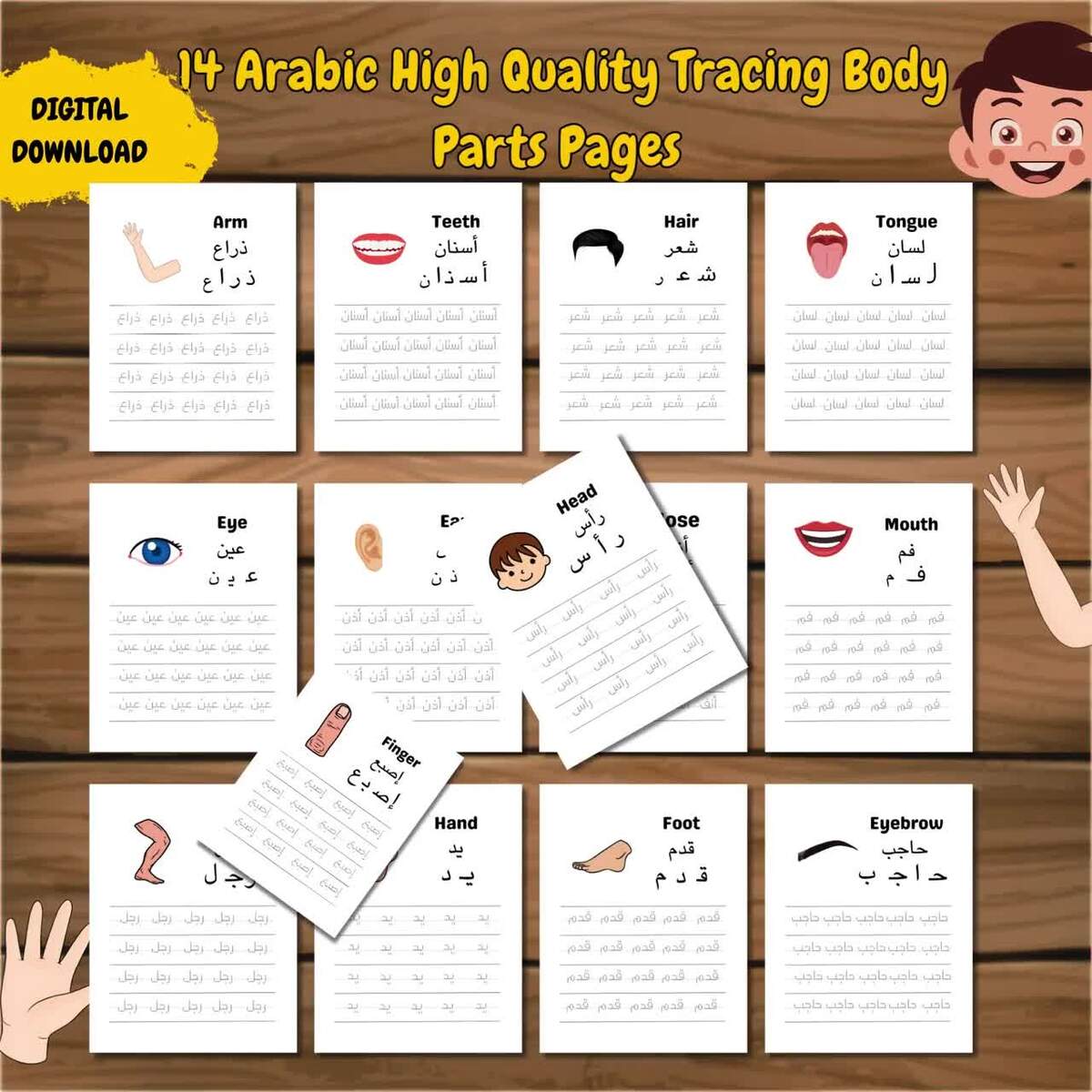 Arabic Body Parts Learning Sheets Tracing Vocabulary Digital Download Etsy