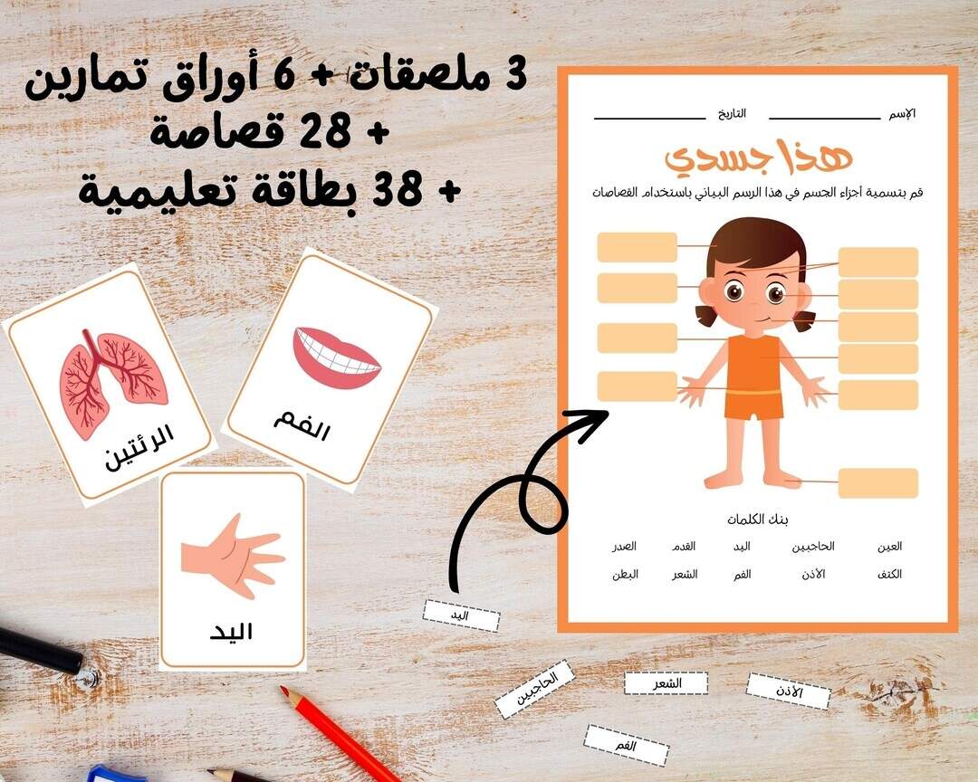 Arabic Human Anatomy For Kids Body Parts In Arabic Organs In Arabic Body Parts Posters Arabic Anatomy Worksheets Arabic Montessori Etsy