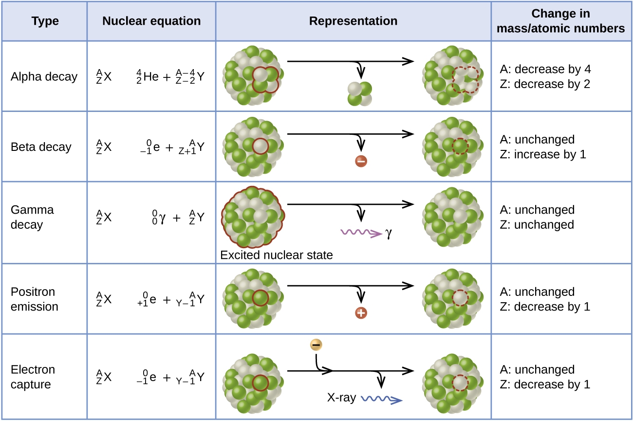 Atomic Nucleus And Radioactive Decay Physical Science Class Notes Atomic Nucleus And Radioactive Decay Physical Science Class Notes
