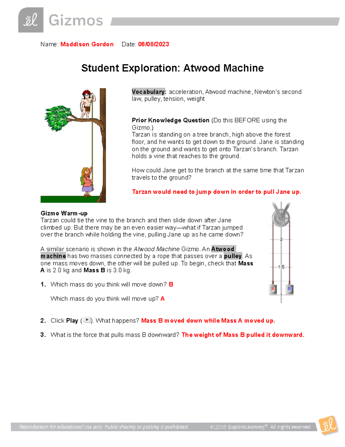 Atwood Machine SE Online Physics Lab Activity Notes Studocu