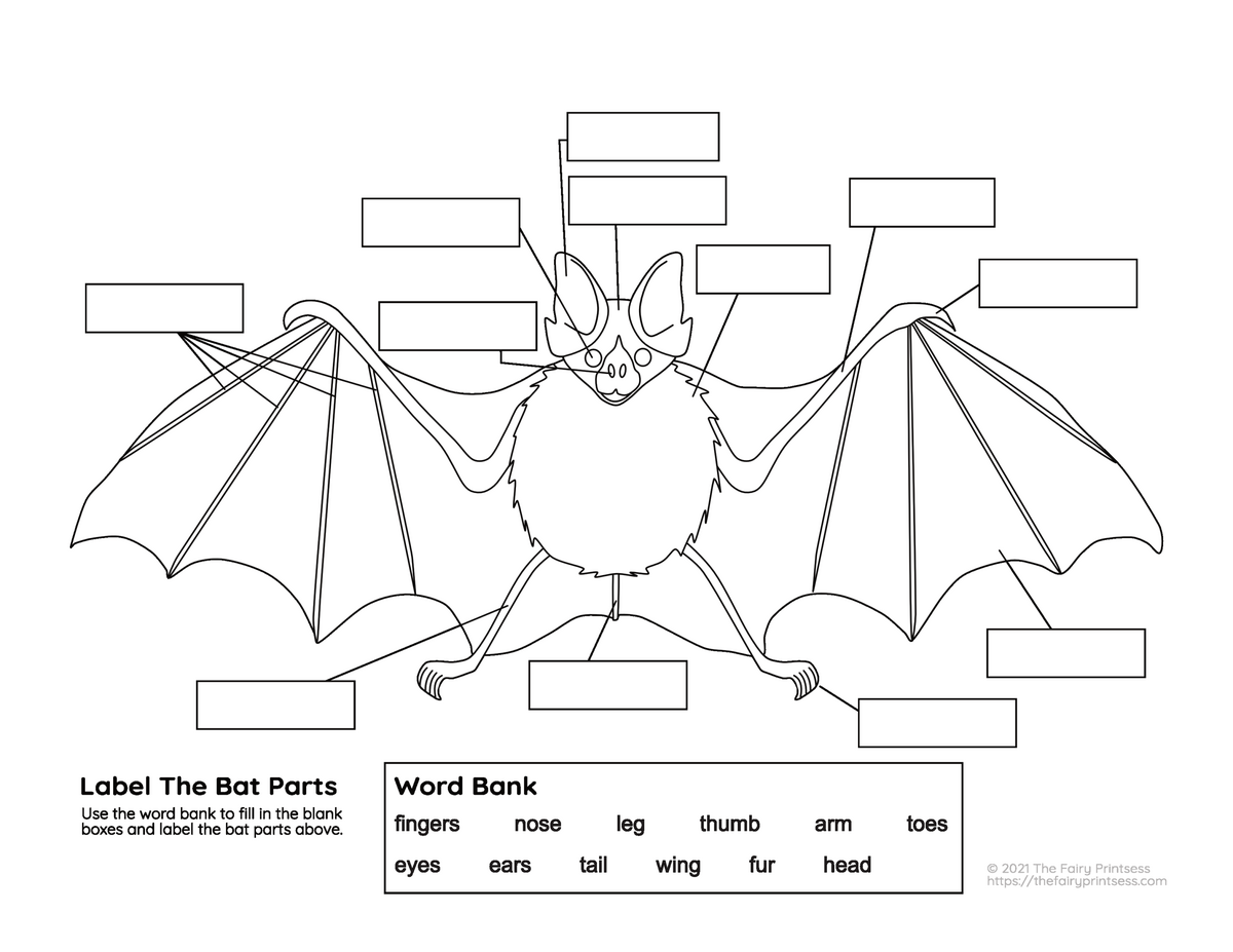 Bat Parts Free Printable Activities Perfect For Learning Animal Science Bat Parts Stock Illustrations 155 Bat Parts Stock Illustrations Vectors Clipart Dreamstime