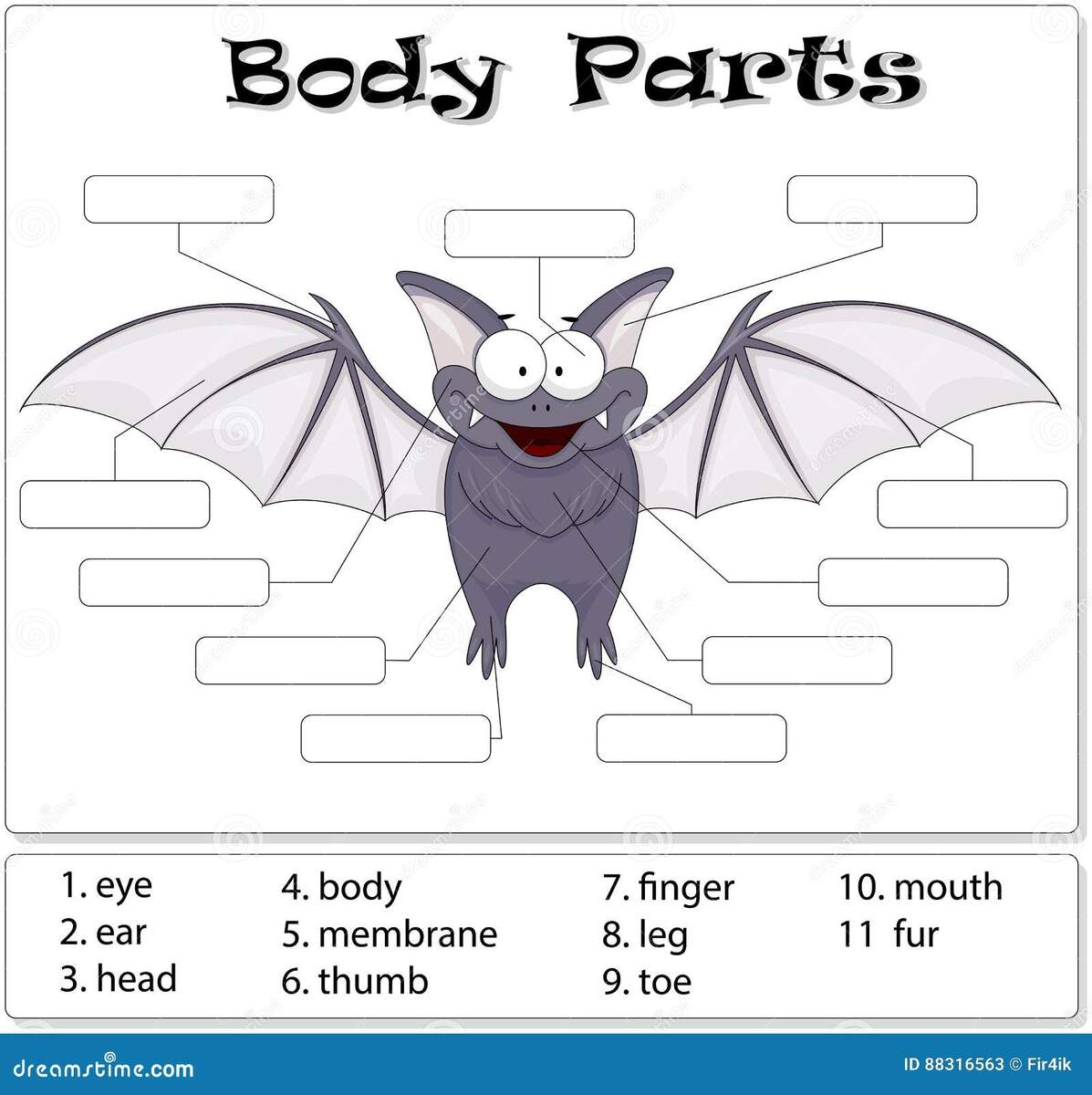 Bat Parts Stock Illustrations 155 Bat Parts Stock Illustrations Vectors Clipart Dreamstime Bat Parts Stock Illustrations 155 Bat Parts Stock Illustrations Vectors Clipart Dreamstime