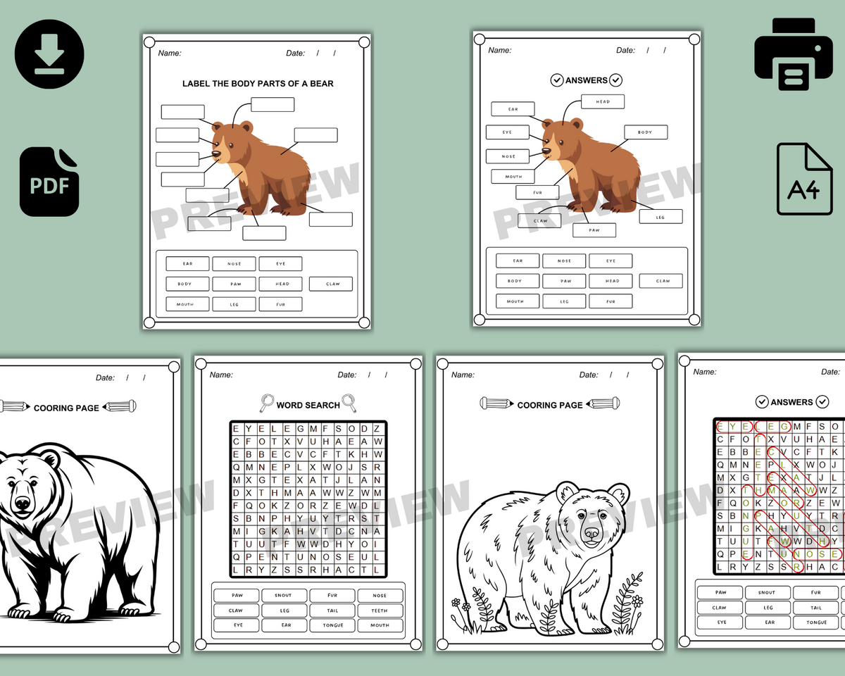 My Teddy Bear Worksheet Trace Color Super Simple