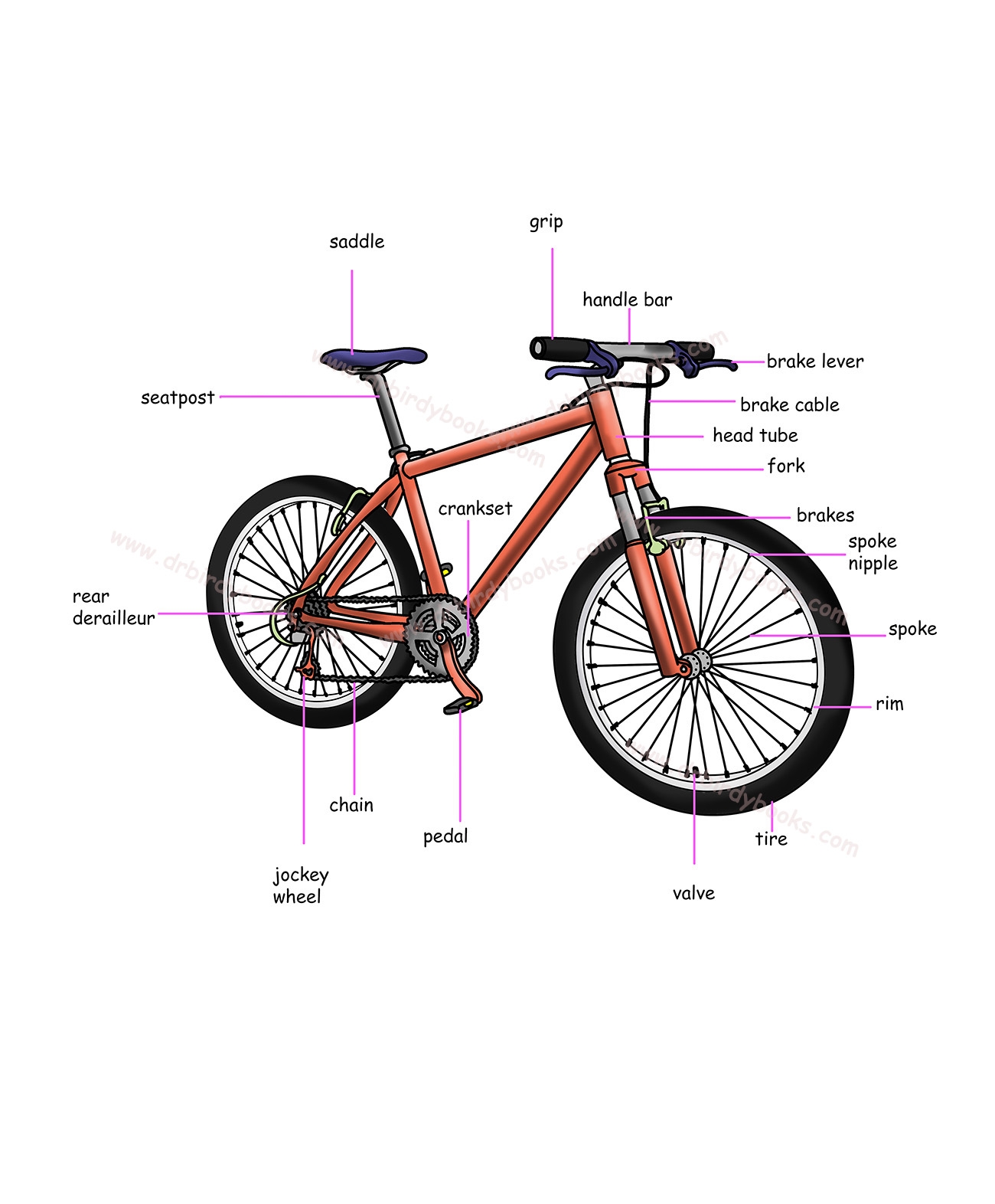 Bicycle Parts Dr Birdy Books