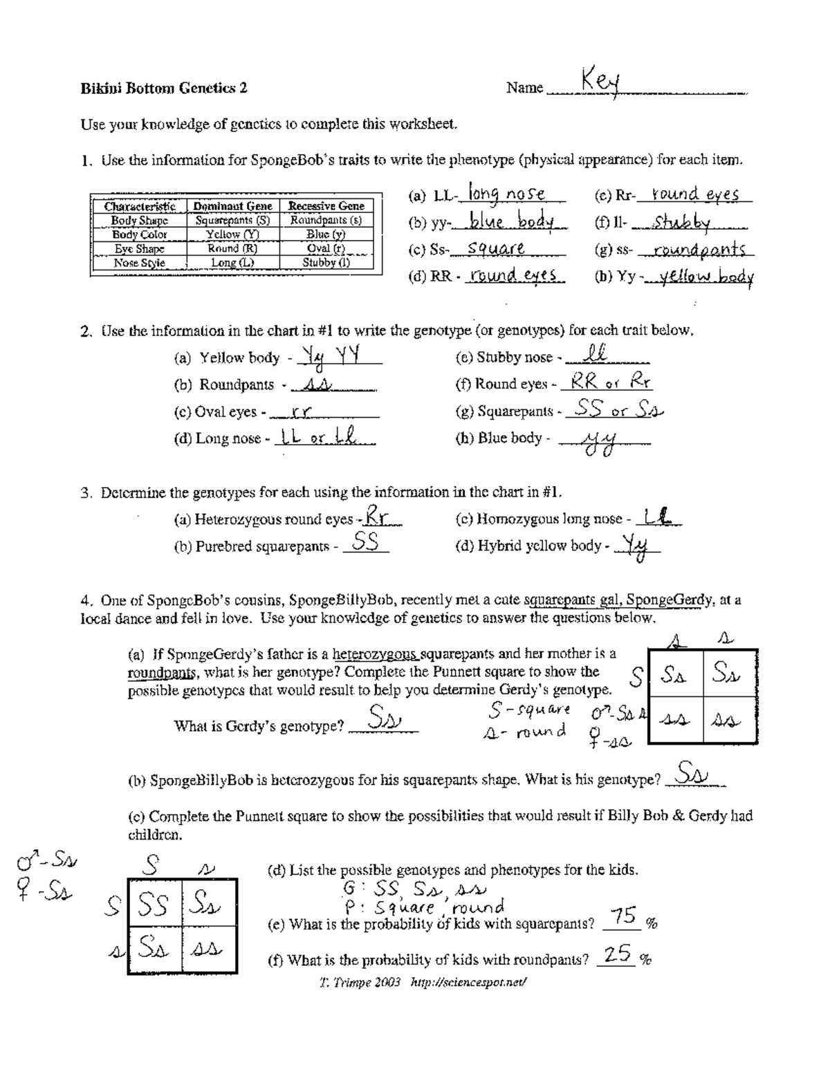 Bikini Bottom Genetics 2 Worksheet Answer Key And Genotypes Studocu