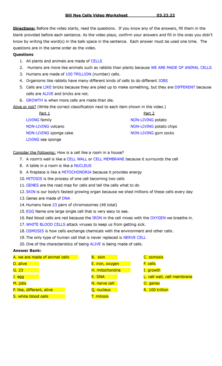 Bill Nye The Science Guy PLANTS Video Guide Worksheets Library