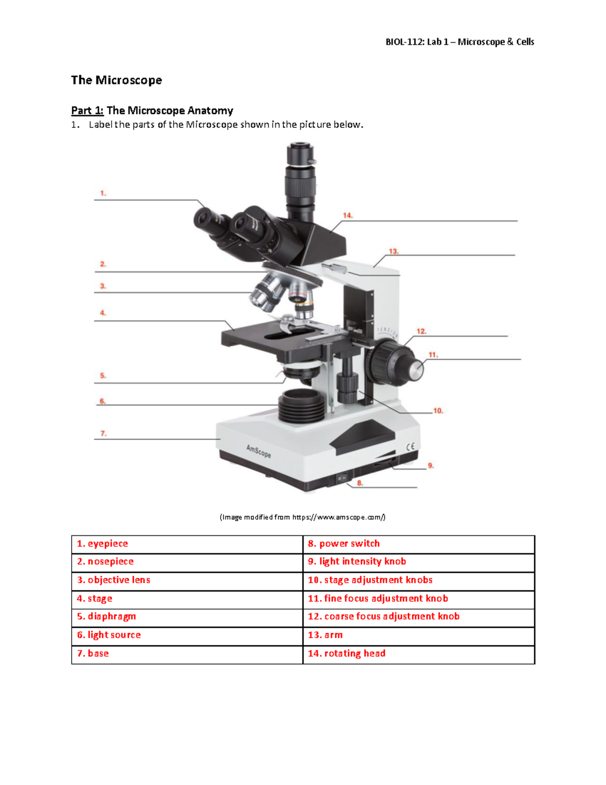 BIOL 112 Lab 1 Activity Worksheet Microscopy Cell Structures Studocu BIOL 112 Lab 1 Activity Worksheet Microscopy Cell Structures Studocu
