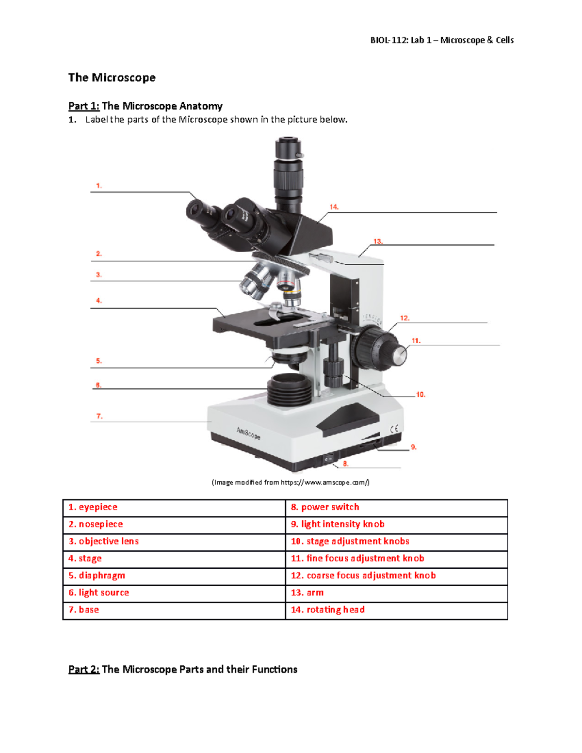 BIOL 112 Lab 1 Activity Worksheet Microscopy Cell Structures Studocu BIOL 112 Lab 1 Activity Worksheet Microscopy Cell Structures Studocu