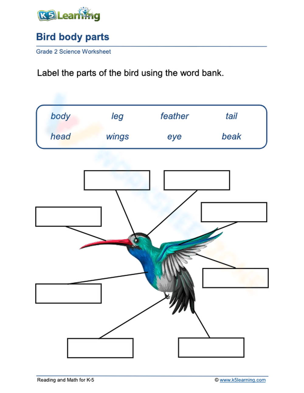 Bird Body Parts Worksheet Leaning Parts Bird Kids Worksheet Stock Vector Royalty Free 271416944 Shutterstock