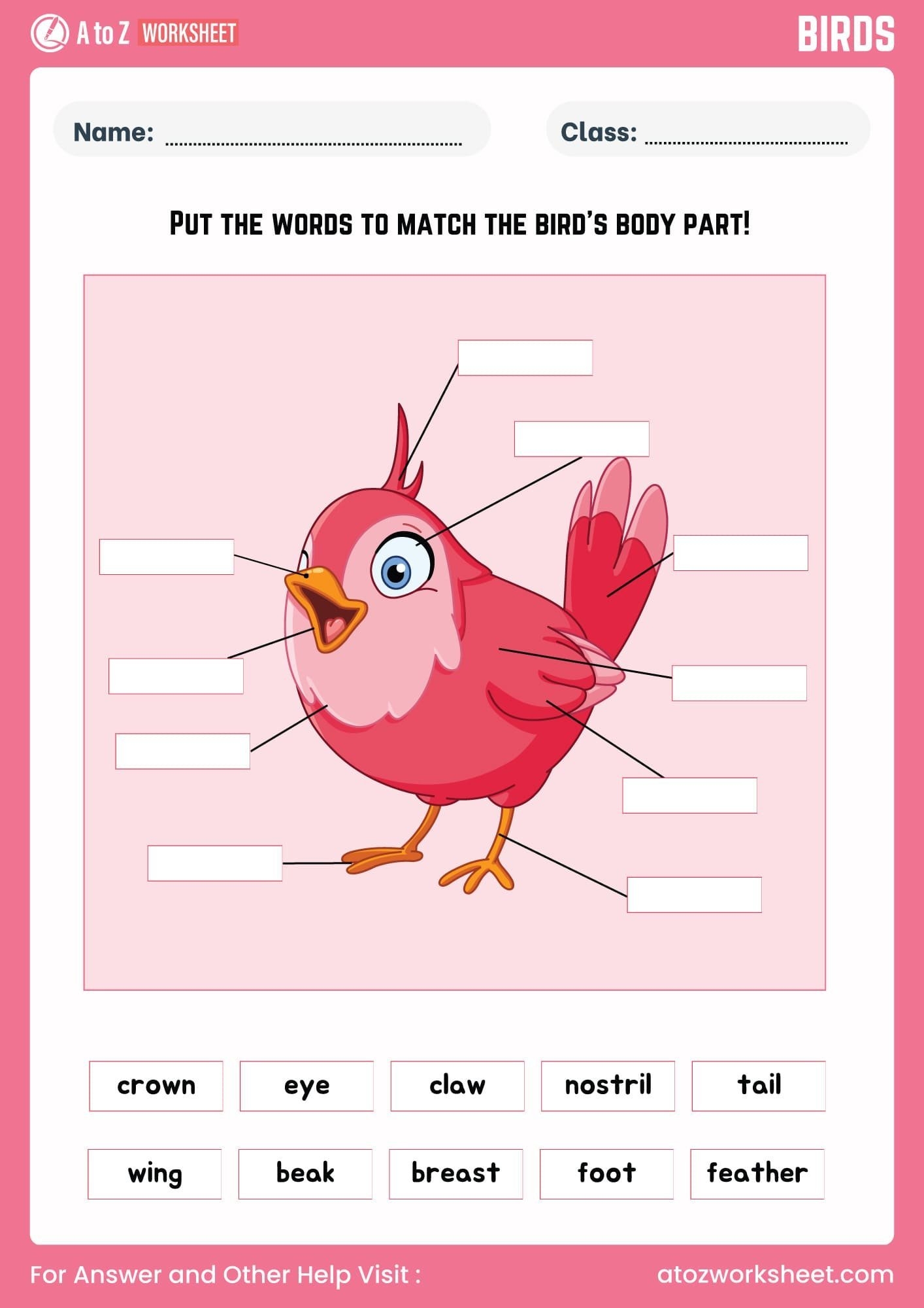 Birds Worksheet For Kindergarten And Nursery Kids Free Printable PDF Activities A To Z Worksheet