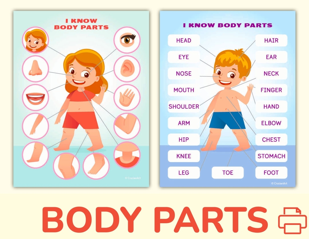 Body And Face Parts Printable Learning Pack For Toddler Preschool Pre K Kindergarten Human Body Activity Worksheets Etsy Denmark