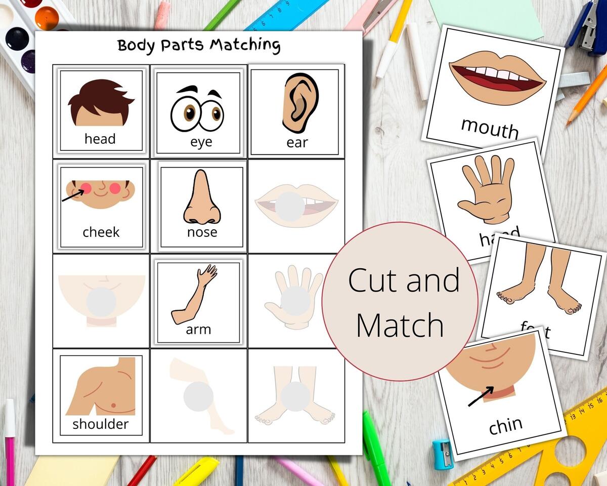 Body Face Parts Montessori Worksheet Cut And Paste Activity digital Files Etsy