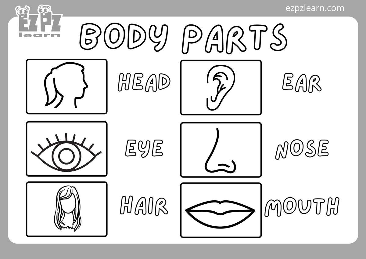 Human Body Themed Coloring Pages Beeloo Printable Crafts And Activities For Kids