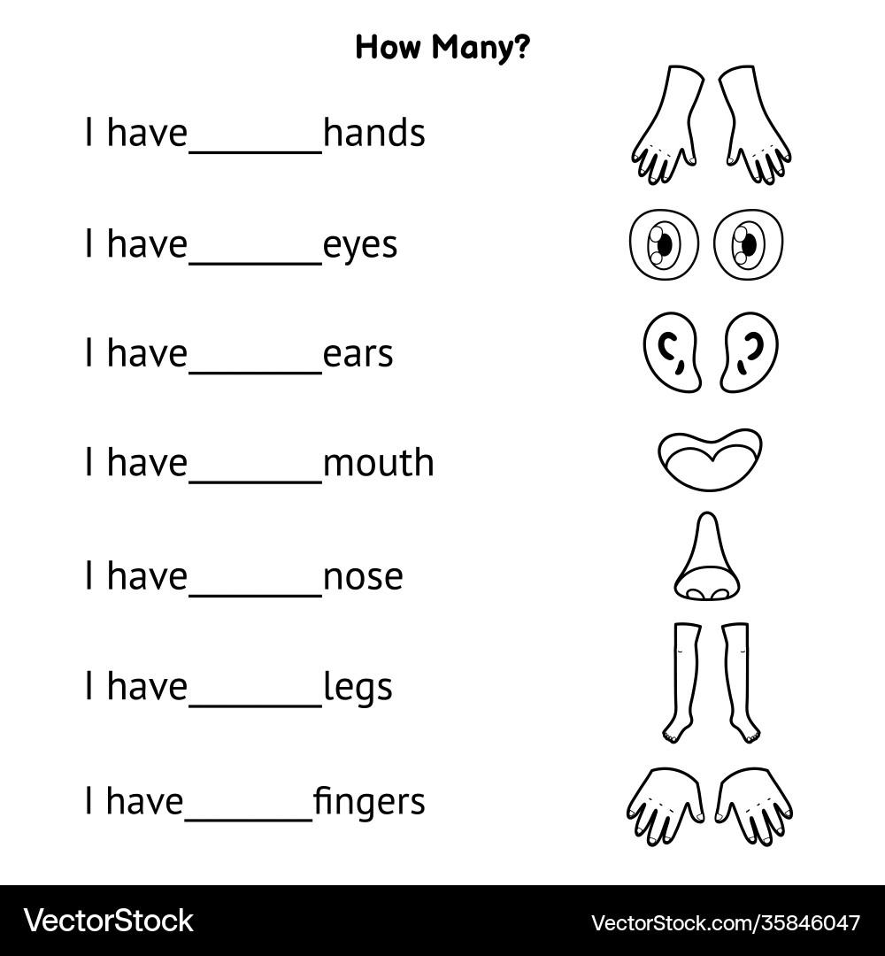 Parts Of The Body Worksheets The Teaching Aunt