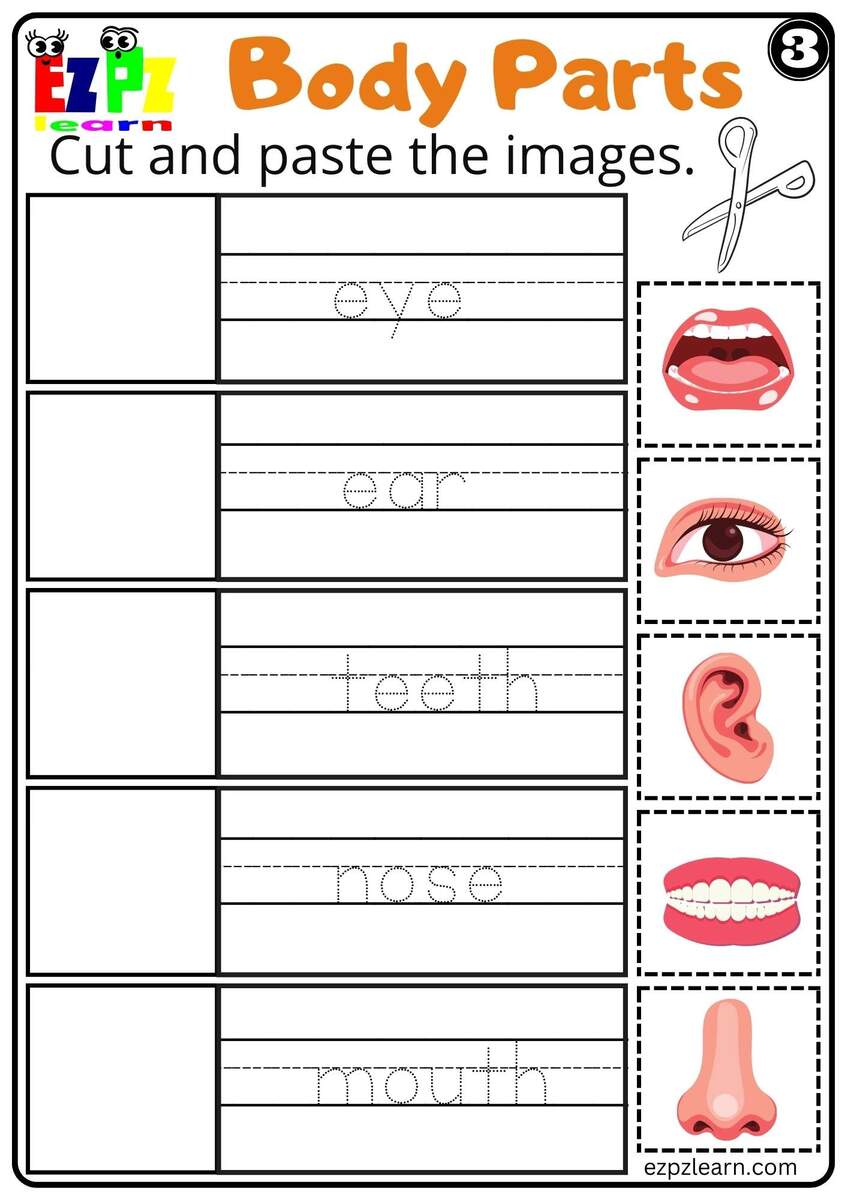 Body Parts Cut And Paste Worksheets For Kids And ESL PDF Download 3 Ezpzlearn