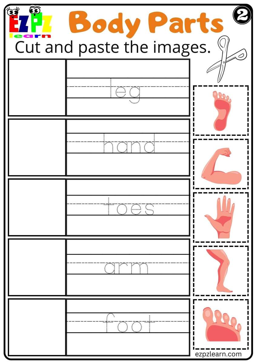 Body Parts Cut And Paste Worksheets For Kids And ESL PDF Download Set 2 Ezpzlearn