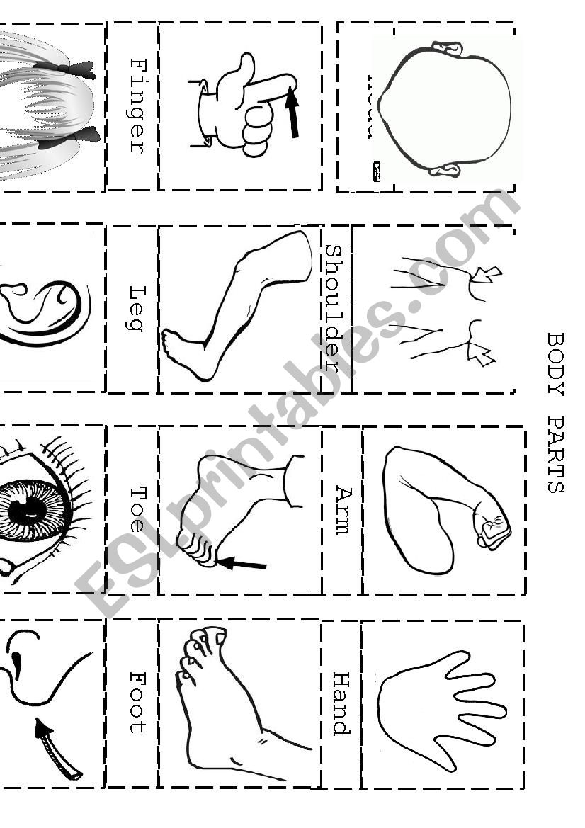 Body Parts Cut Paste ESL Worksheet By Mystery Sea Body Parts Cut Paste ESL Worksheet By Mystery Sea