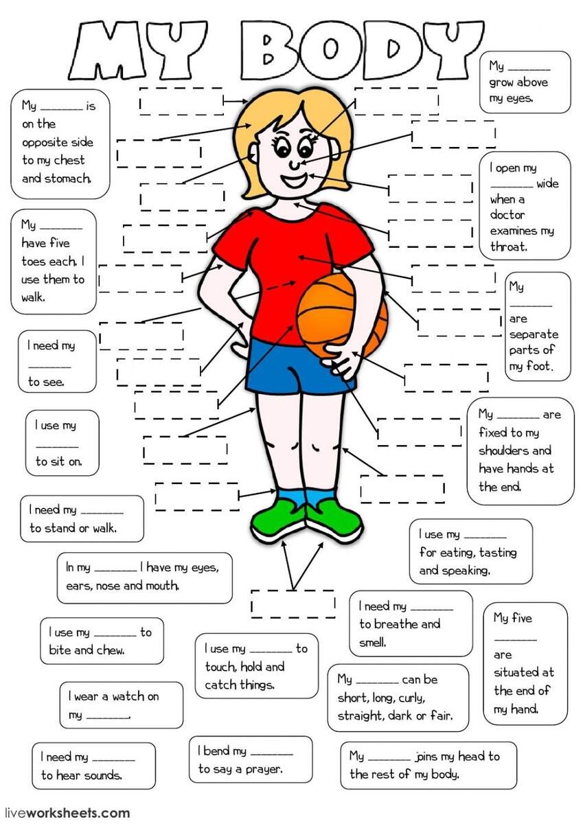 Body Parts ESL Printable Picture Dictionary Worksheet For Kids Worksheets Library