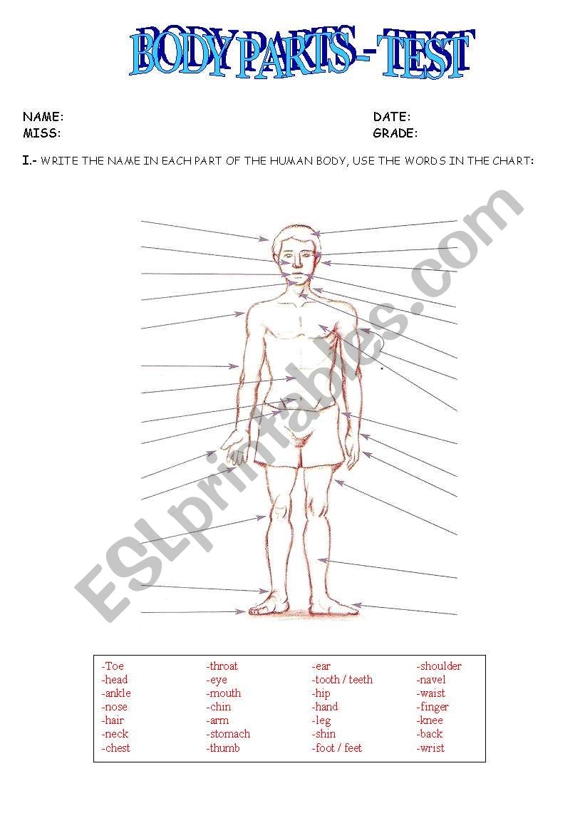 BODY PARTS ESL Worksheet By Gypsi12 BODY PARTS ESL Worksheet By Gypsi12