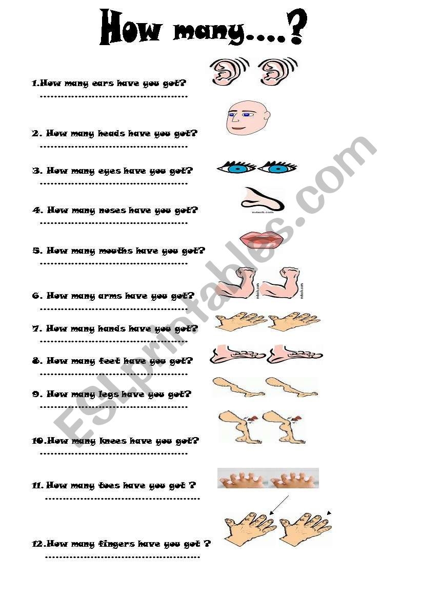 Body Parts How Many ESL Worksheet By Buzzumms