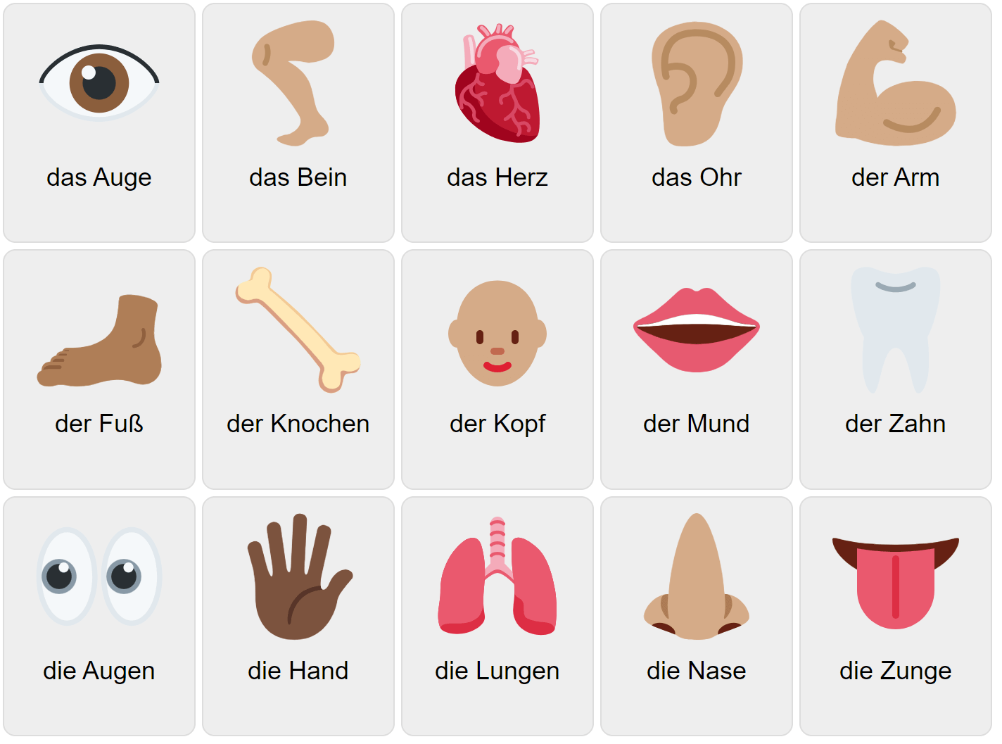 German Memory Cards Body Parts By Teach Simple