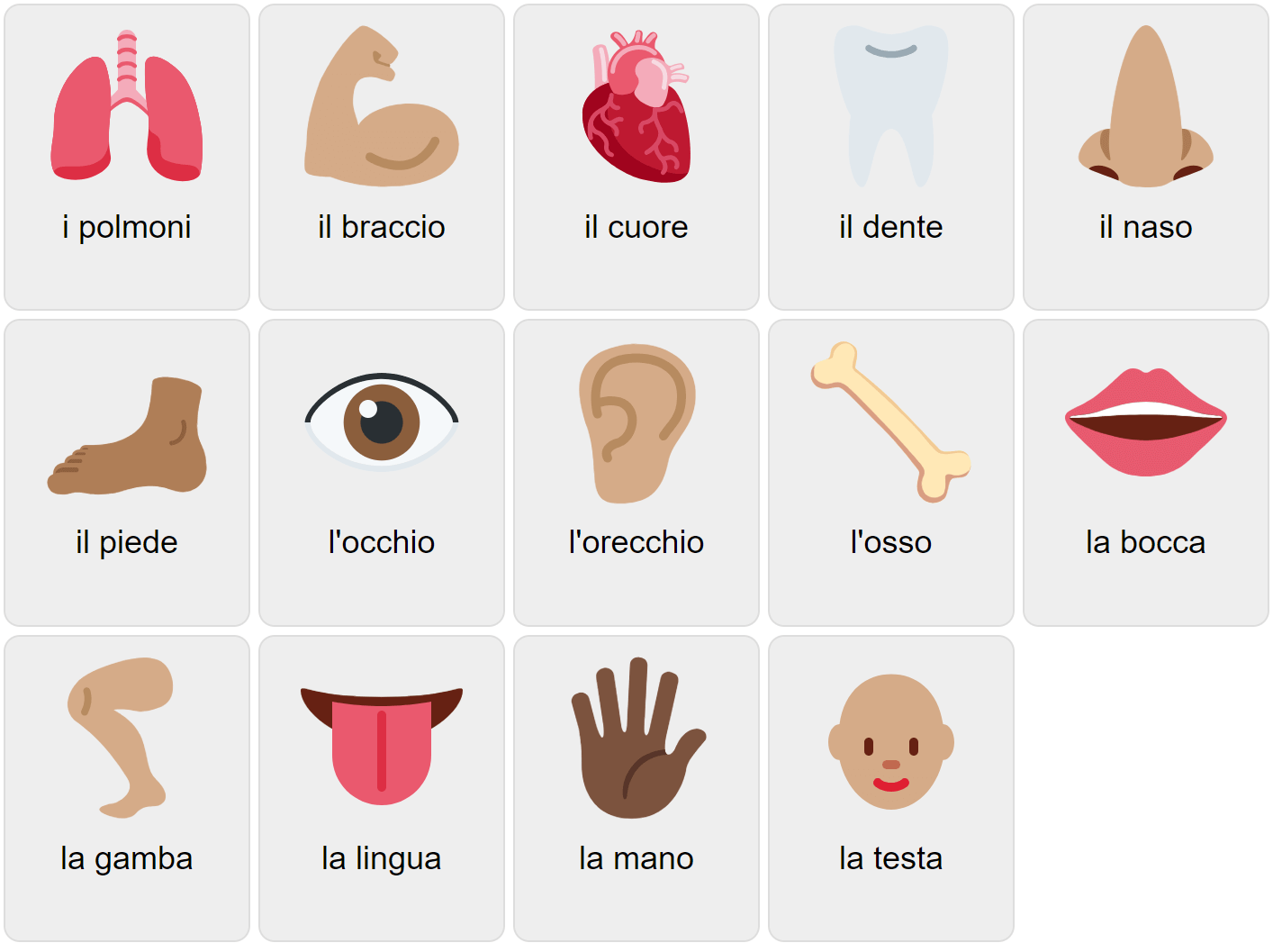 Italian Body Parts Word Search WordMint