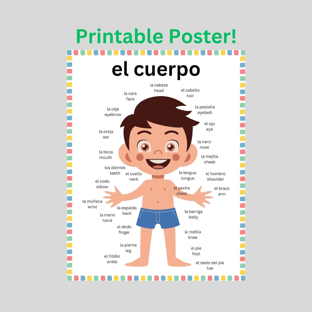 Body Parts In Spanish English Poster Download Spanish Basics Spanish Reference Guide Spanish Teacher Classroom Printable Espanol Etsy