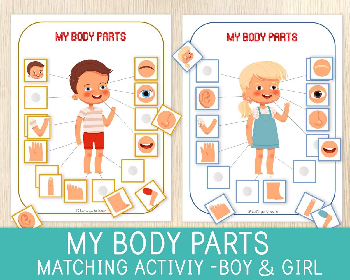 Body Parts Matching Activity Human Body Game Toddler Preschool Worksheets For Kids Busy Book Pages Homeschool Educational Game Etsy