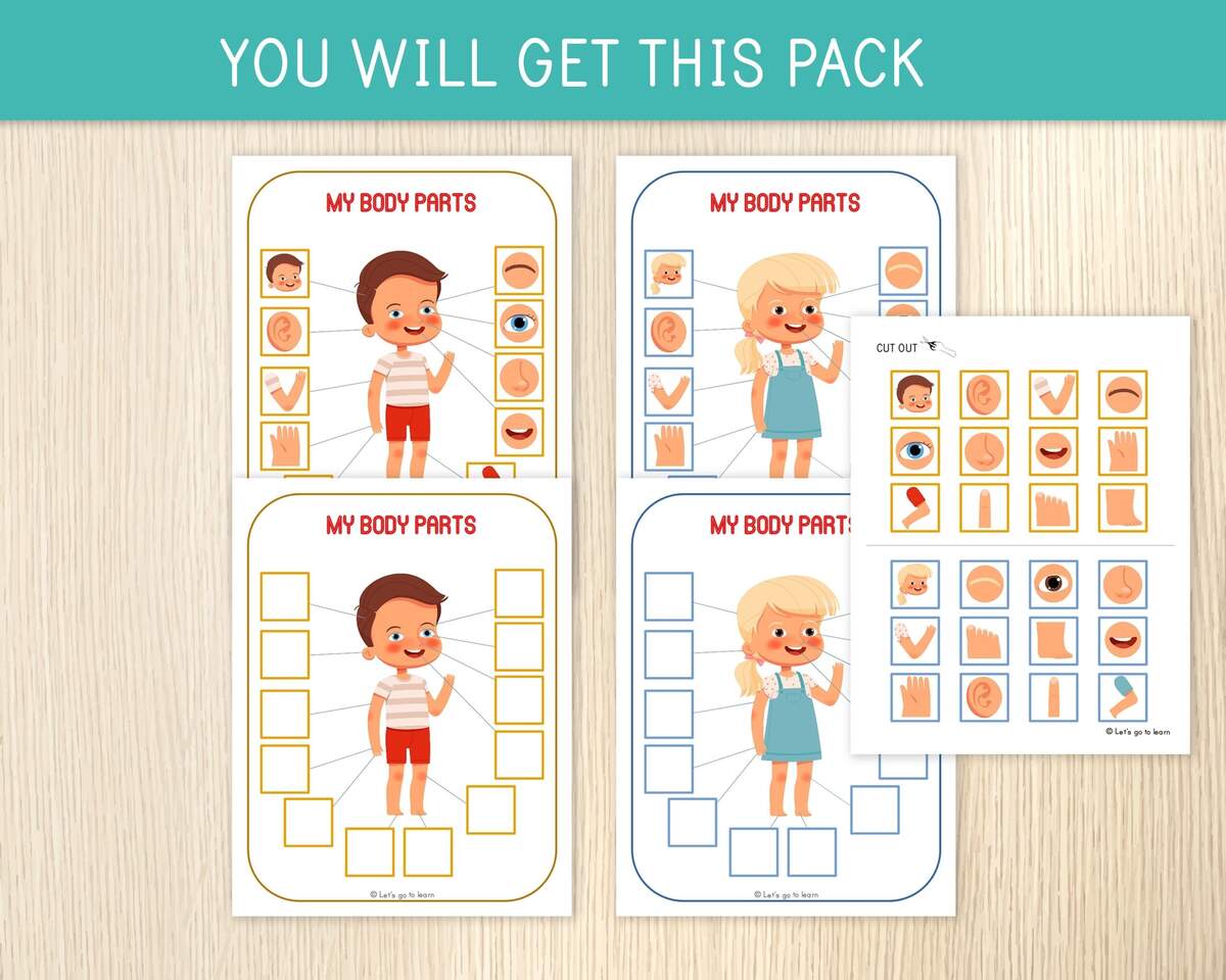 Body Parts Matching Activity Human Body Game Toddler Preschool Worksheets For Kids Busy Book Pages Homeschool Educational Game Etsy Body Private Parts Health And Family Life Worksheet Live Worksheets Library