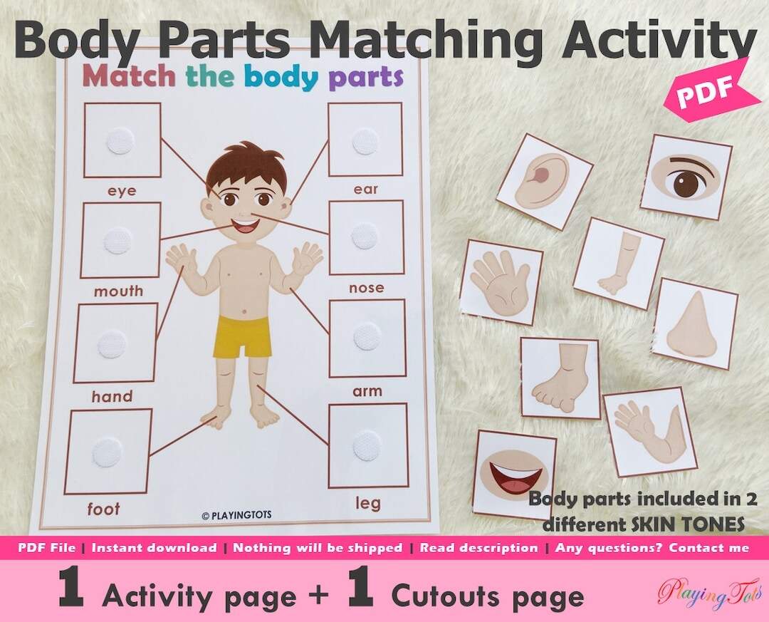 Body Parts Matching Activity Printable Toddler Busy Book Pages Learning Binder Activity Pages Homeschool Resource Etsy