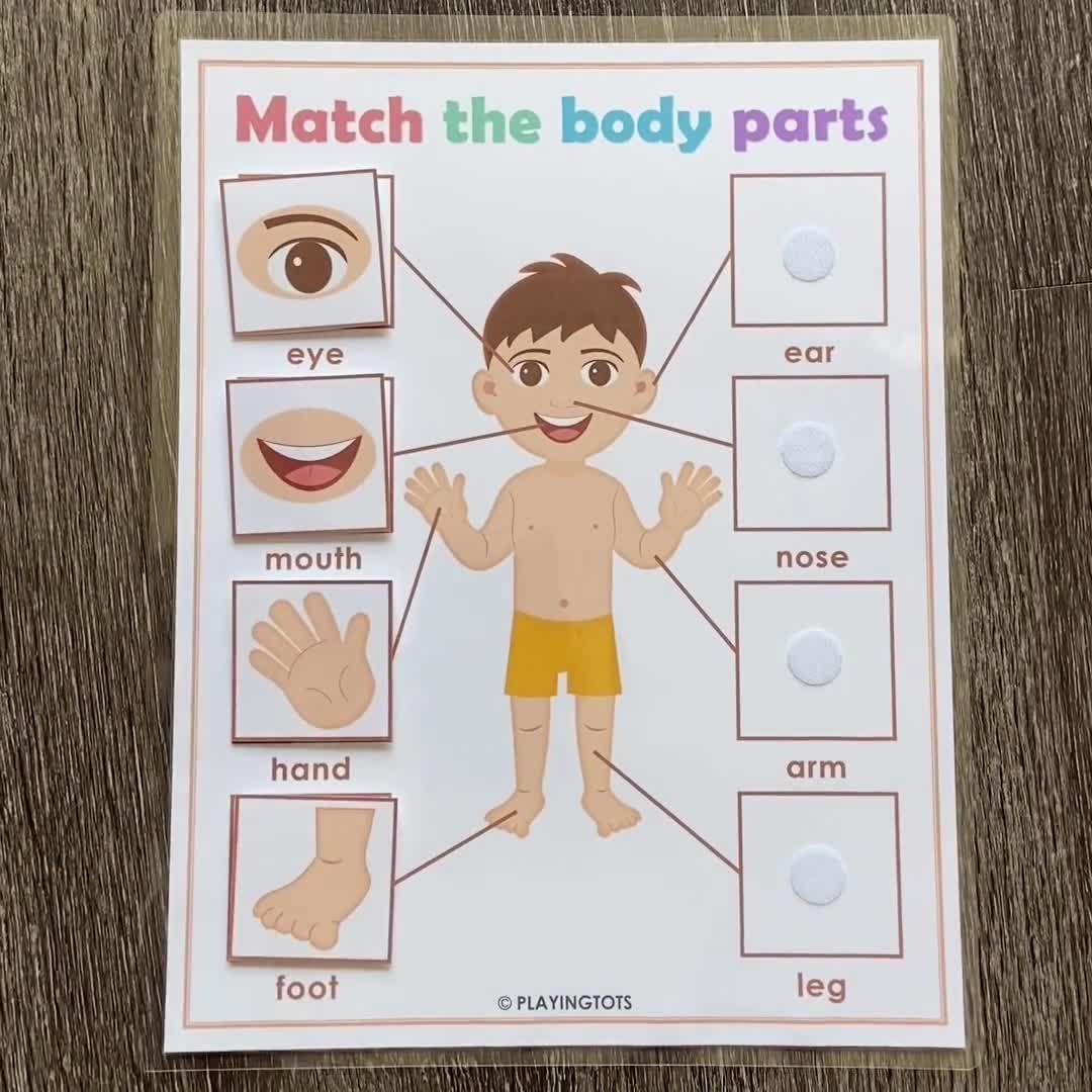 Body Parts Matching Activity Printable Toddler Busy Book Pages Learning Binder Activity Pages Homeschool Resource Etsy
